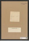 Diatomeae indet. Zeichnungen Sammlung Grunow Nr. 8949 (NHMW-BOT-W0378635)